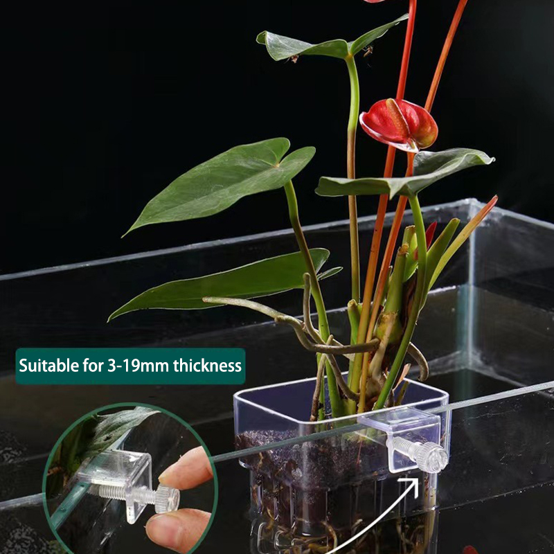 Planted Aquarium With Fish - Multifunctional Fish Aquarium Water Grass Planting