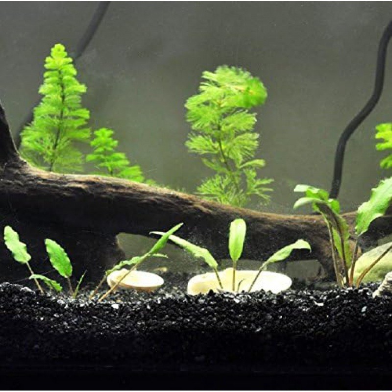 300g Gorgeous Aquarium Decorat - Aquasoil Substrate recension och pris