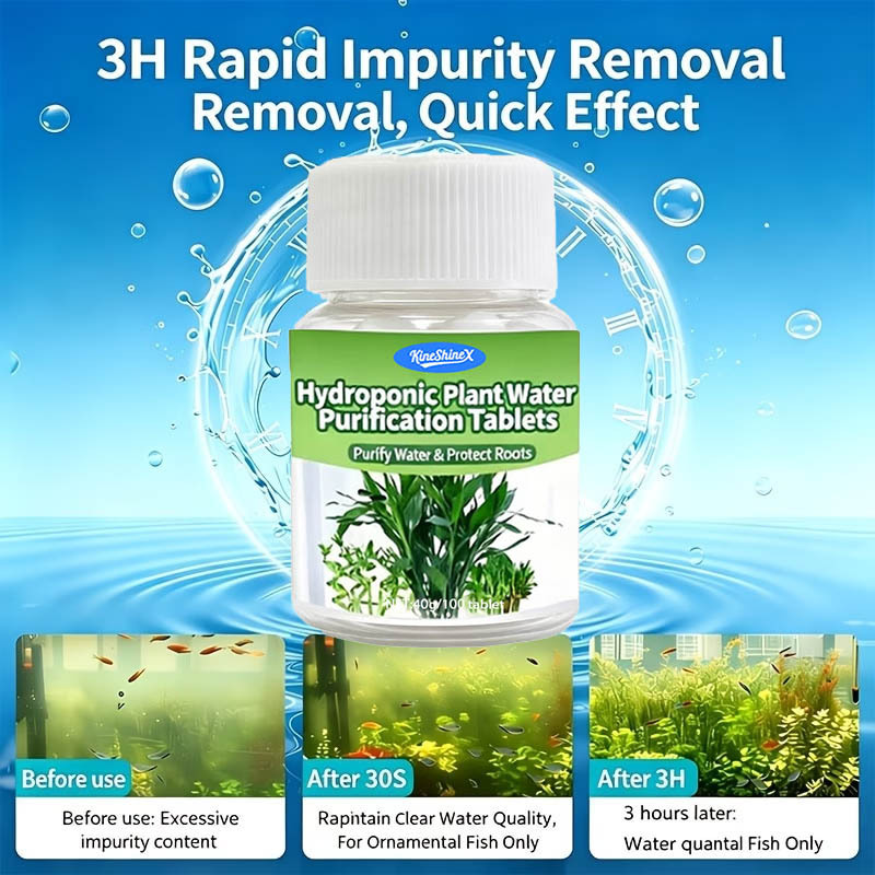 Hydroponic Water Purification  - Aquarium Plant In Pot recension och pris