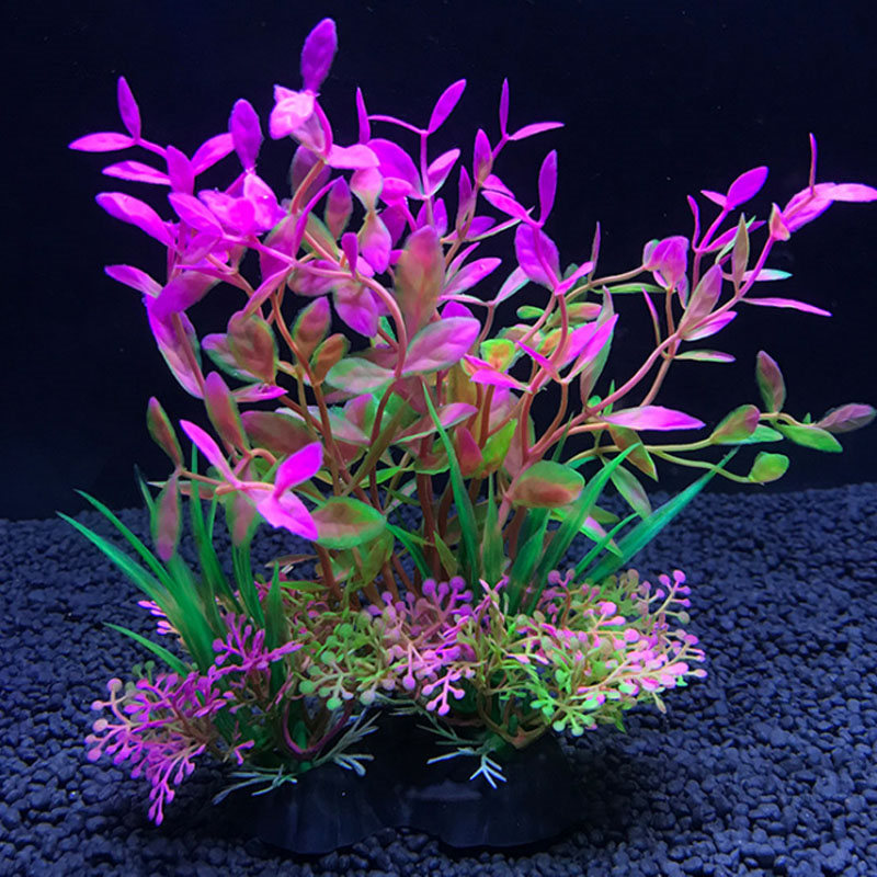 Aquarium decoration a variety  - Aquarium Plant Varieties recension och pris