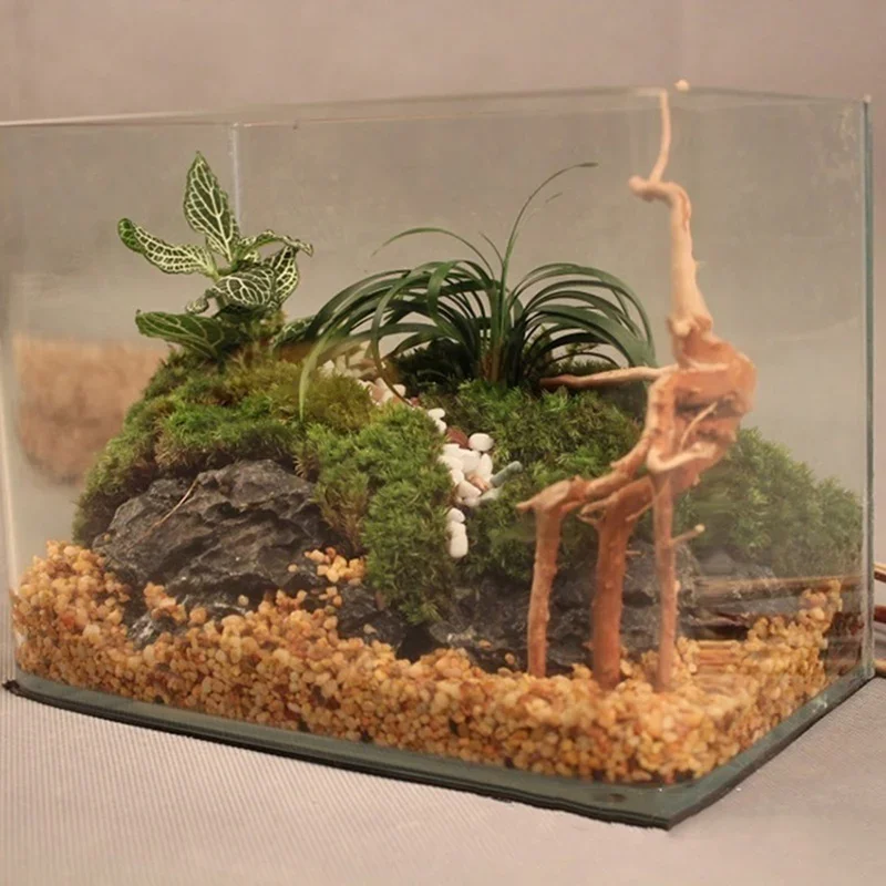Natural Tree Trunk Driftwood A - Aquarium Planted Wood recension och pris