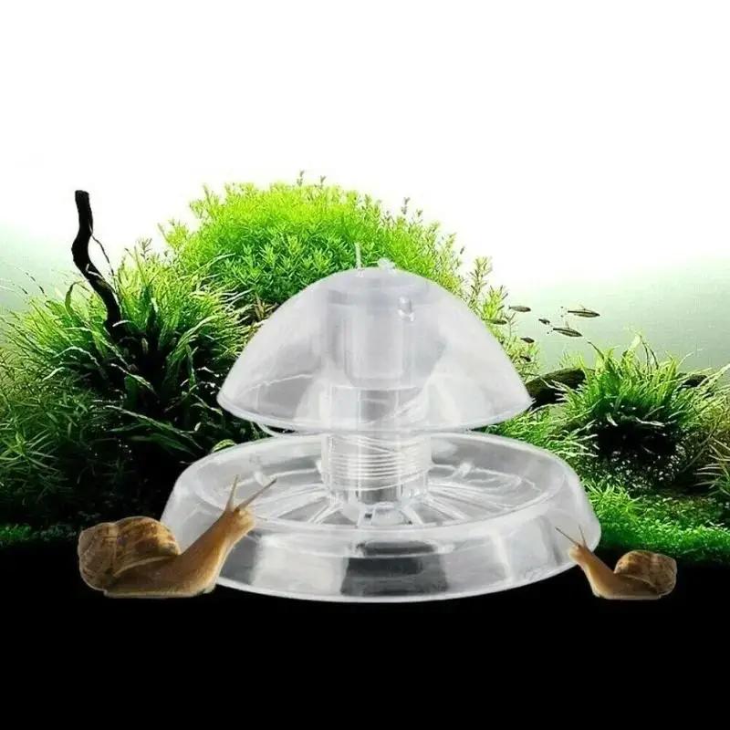 2026 New 6/8CM Clear Plastic S - Planted Aquarium With Fish recension och pris