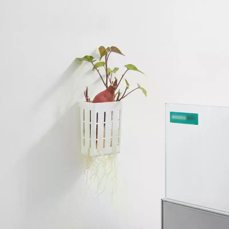 1Pcs Hydroponic Support Basket - Aquarium Plant In Pot recension och pris