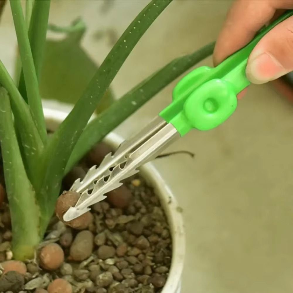 Stainless Steel Gardening Twee - Planted Clip Tweezers recension och pris
