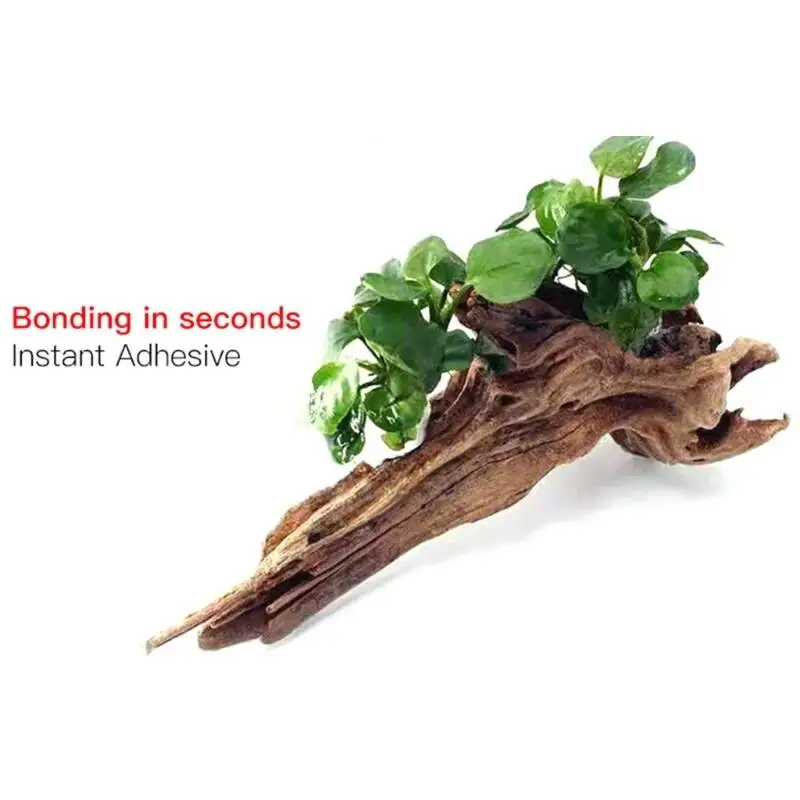 2PCS 5PCS /3/ Moss Clear Glues - Planted Aquarium With Fish recension och pris
