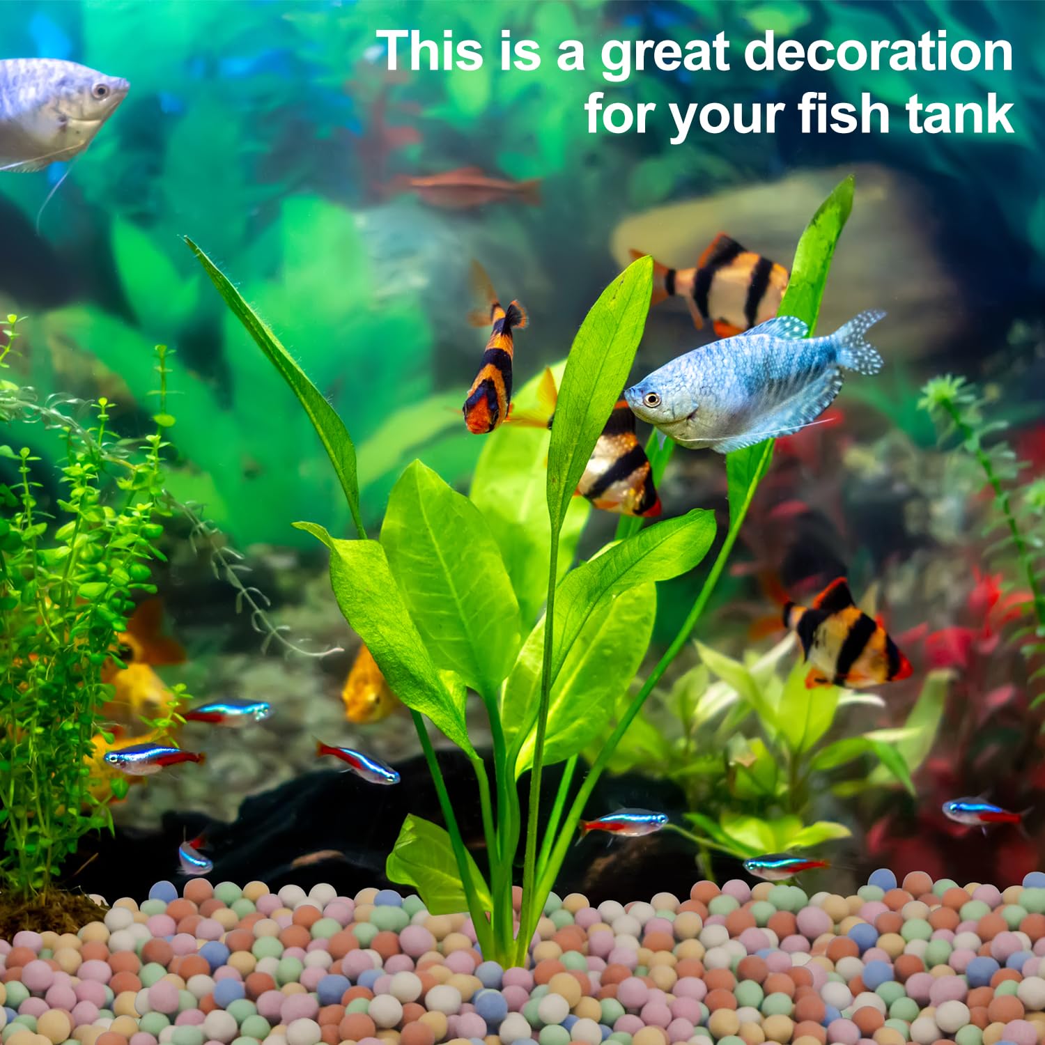 Hydroponic Plant Decorative Co - Aquasoil Substrate recension och pris