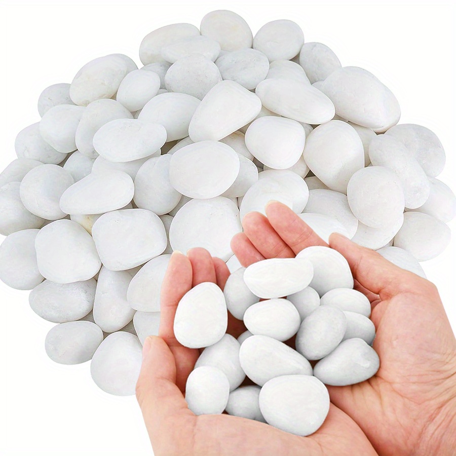 200/400g White High Polished N - Aquarium Plant In Pot recension och pris