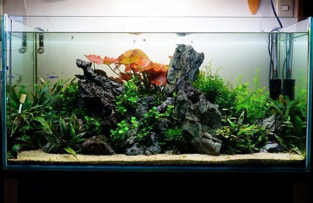 Natural Decorative Dragon Ston - Aquasoil Substrate recension och pris