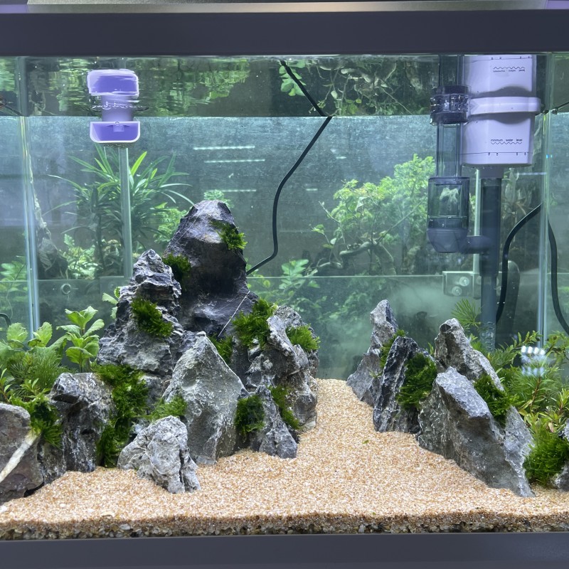 Natural Decorative Dragon Ston - Aquasoil Substrate recension och pris