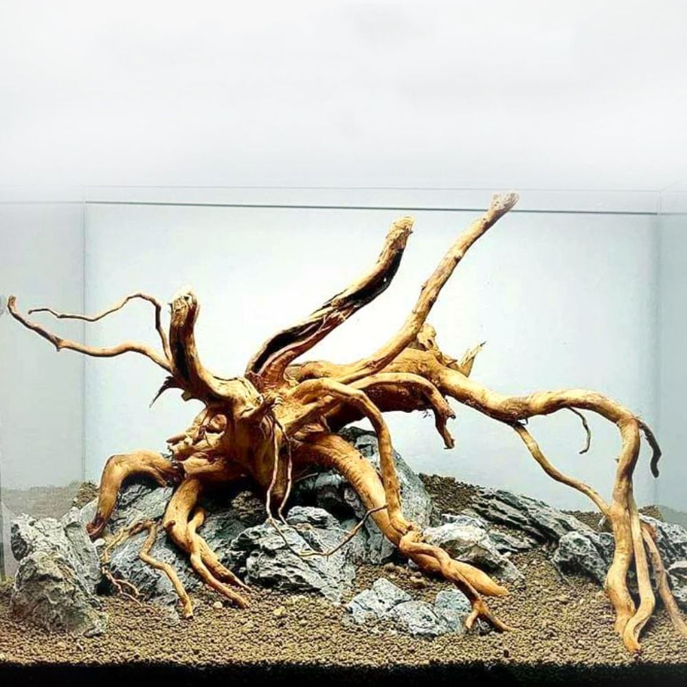 Natural Tree Trunk Aquarium De - Aquarium Planted Wood recension och pris
