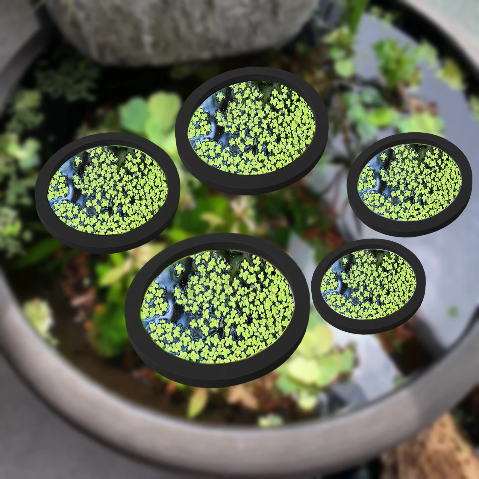 5Pcs EVA Fish Feeding Ring Aqu - Planted Aquarium With Fish recension och pris