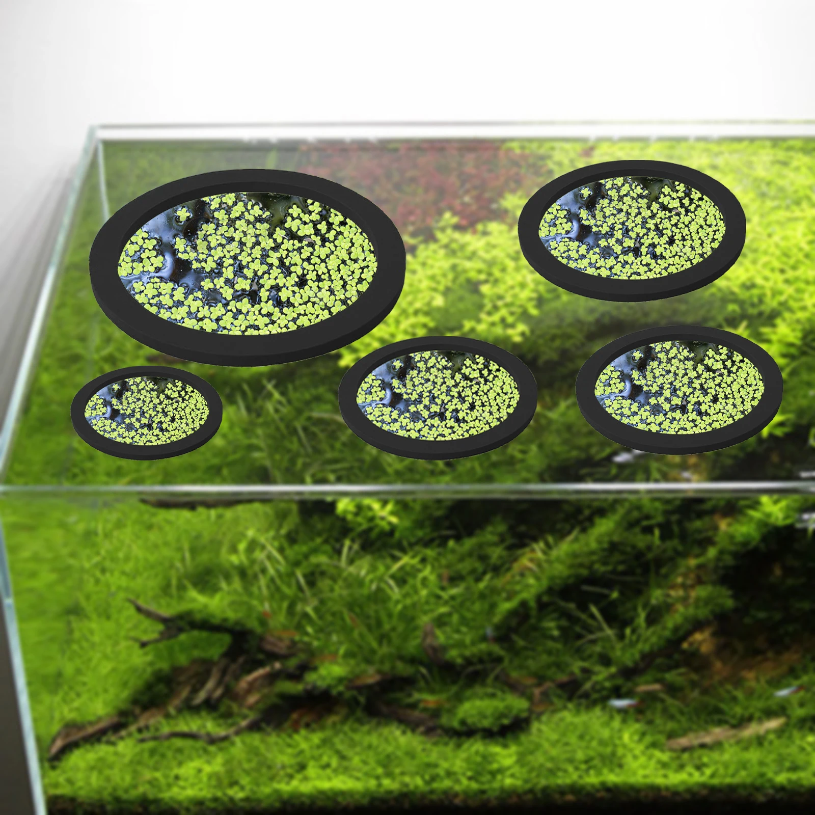 5Pcs EVA Fish Feeding Ring Aqu - Planted Aquarium With Fish recension och pris