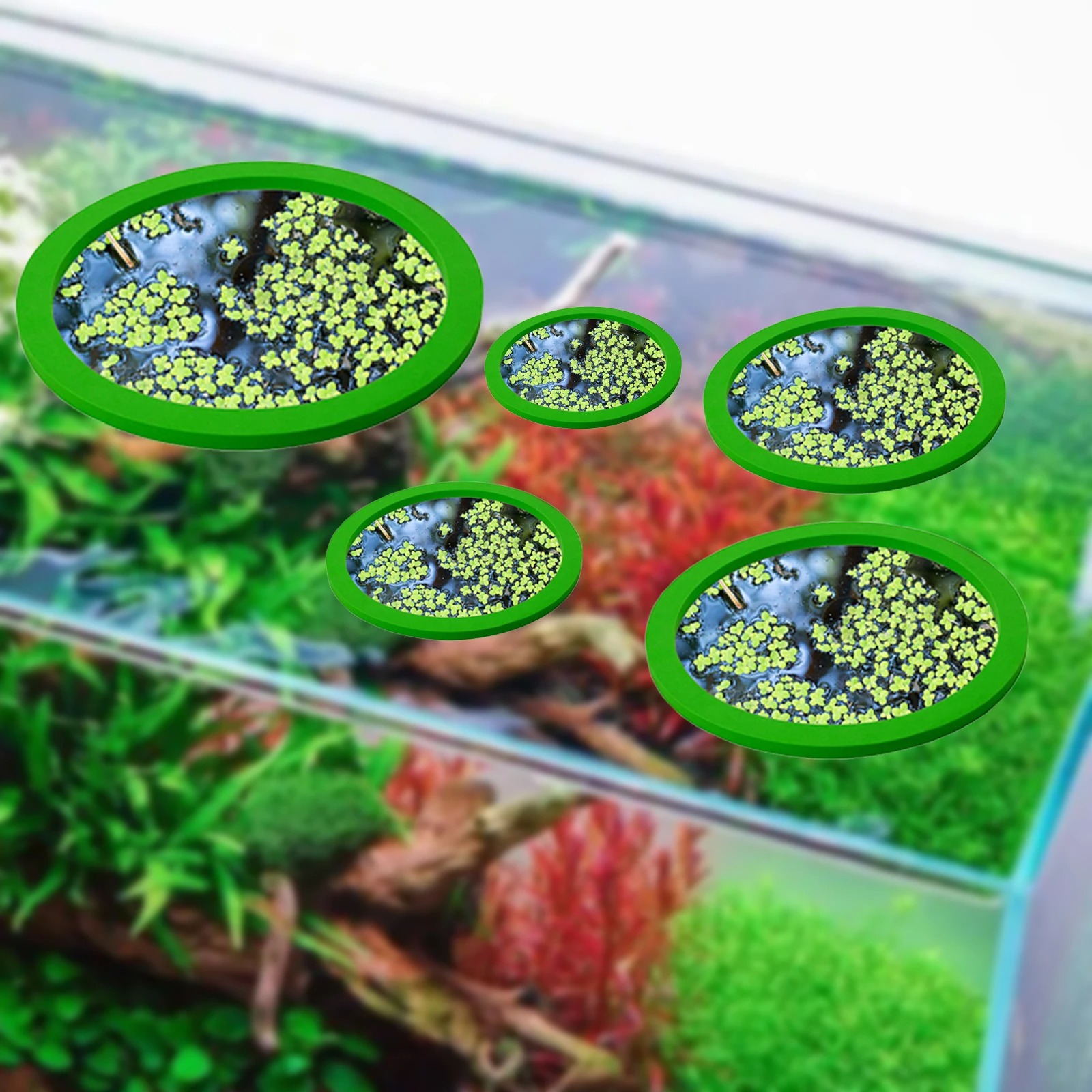 5Pcs EVA Fish Feeding Ring Aqu - Planted Aquarium With Fish recension och pris