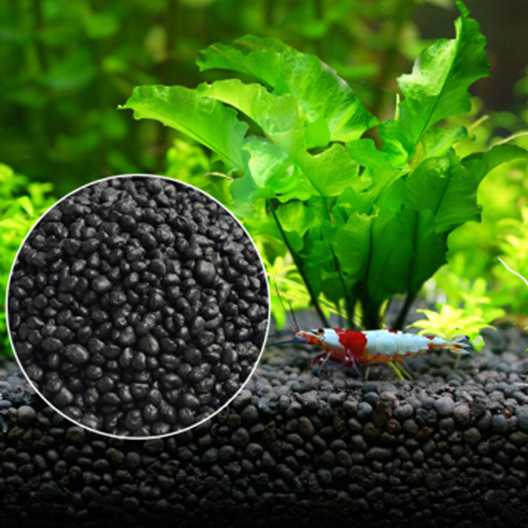 Aquarium Plant Seeds Soil Fish - Aquarium Plant In Pot recension och pris