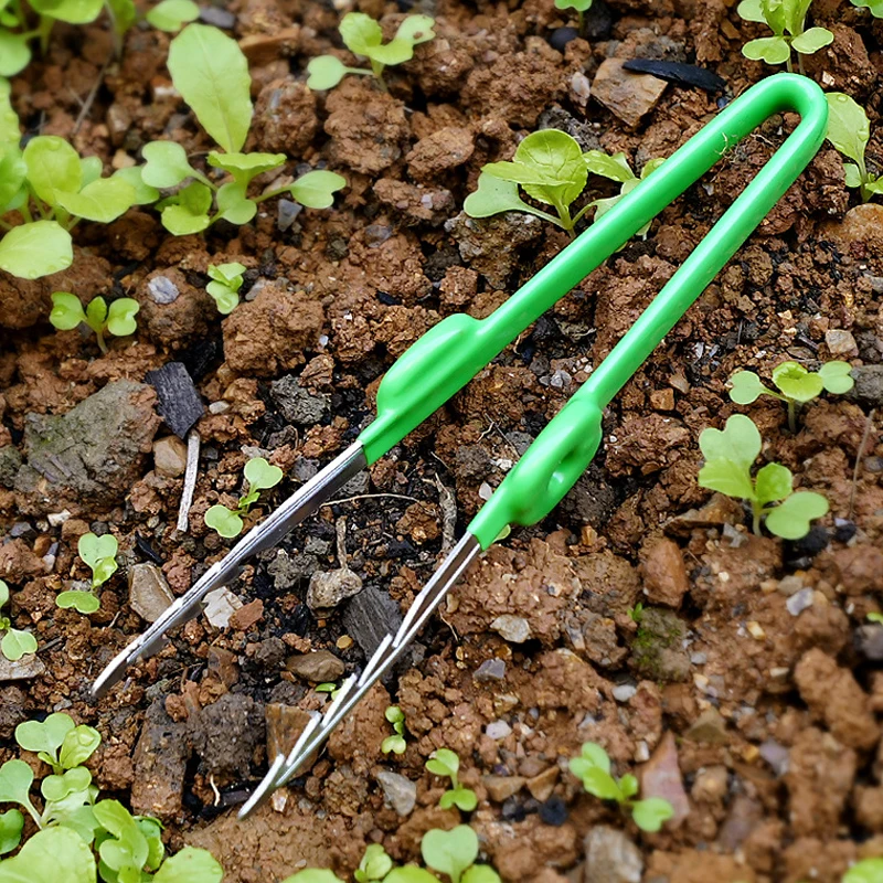 1Pc Gardening Tweezers Succule - Planted Clip Tweezers recension och pris