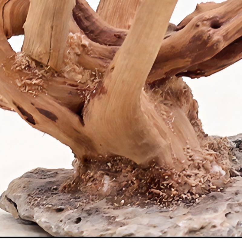 1PC Aquarium Landscaping Wood  - Aquarium Planted Wood recension och pris