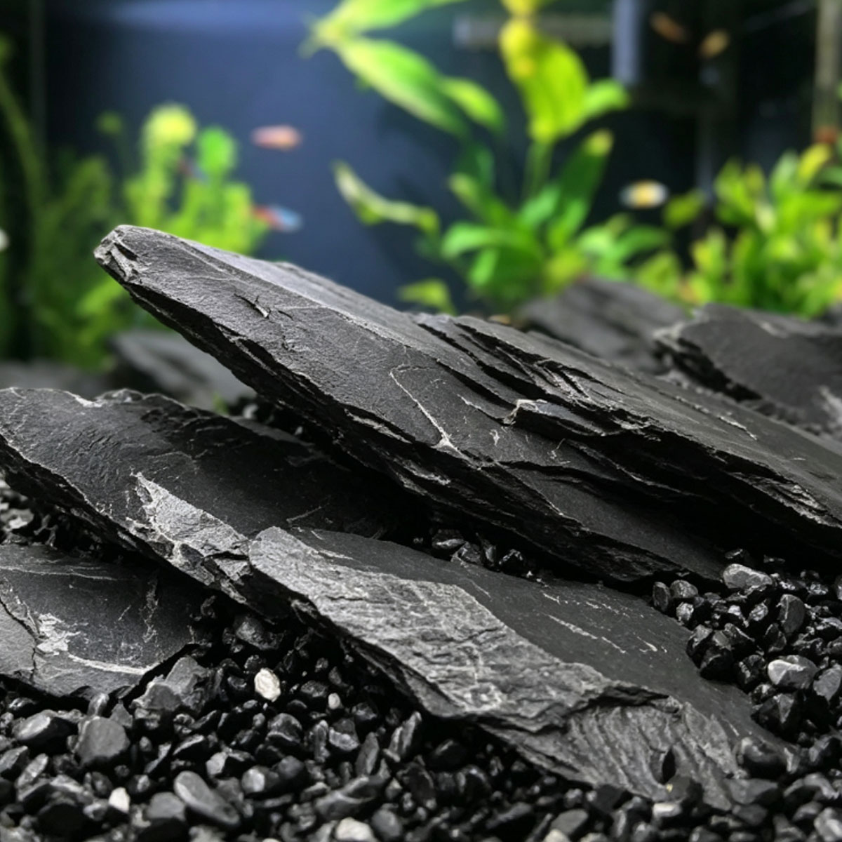 800g 5-10cm Black Slate Stone  - Aquasoil Substrate recension och pris