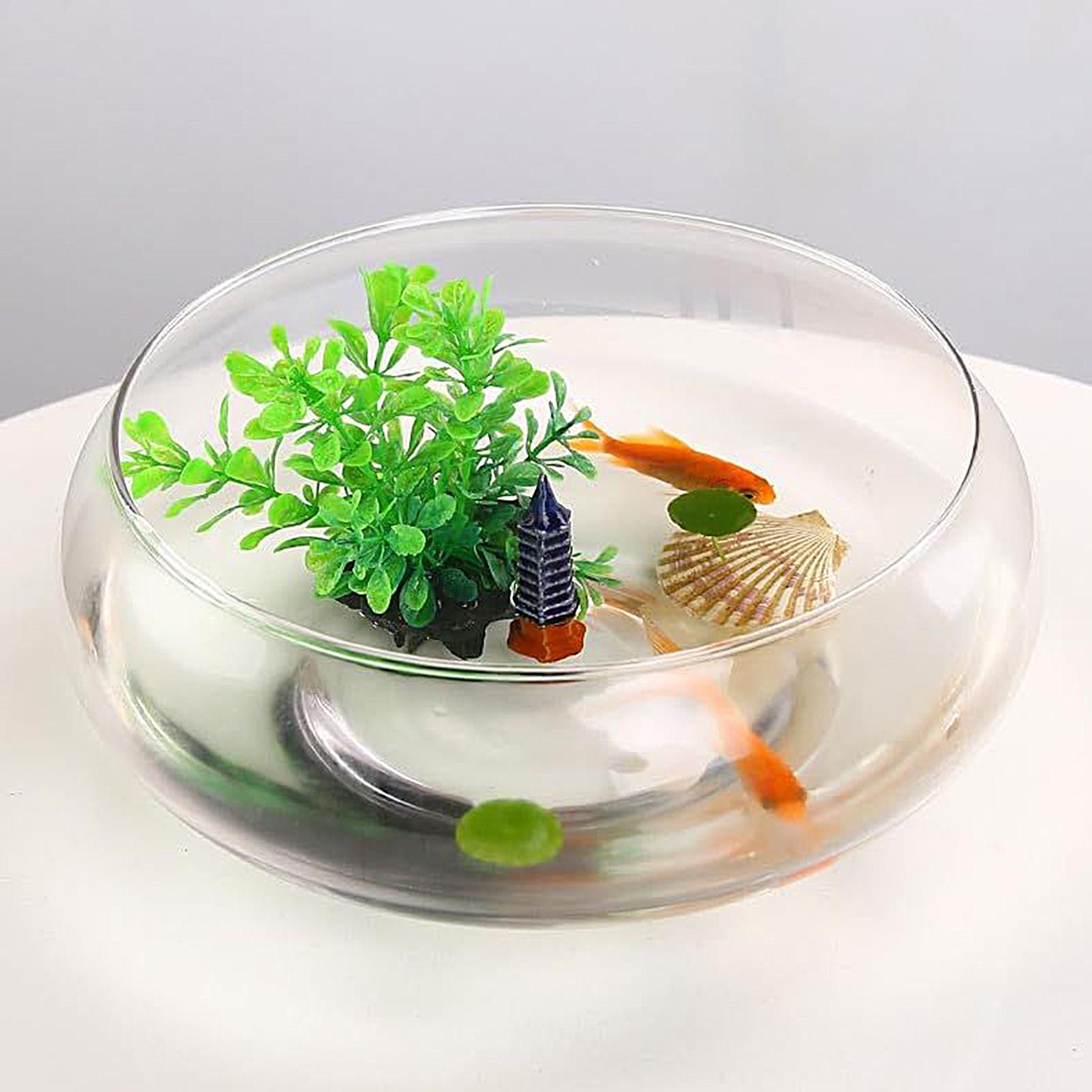 Fish Glass Bowl Glass Large Hy - Planted Aquarium Bowl recension och pris