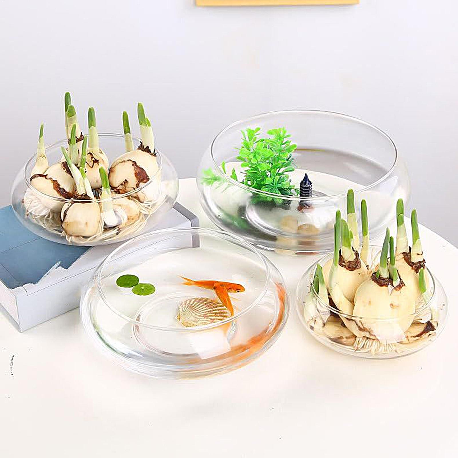 Fish Glass Bowl Glass Large Hy - Planted Aquarium Bowl recension och pris
