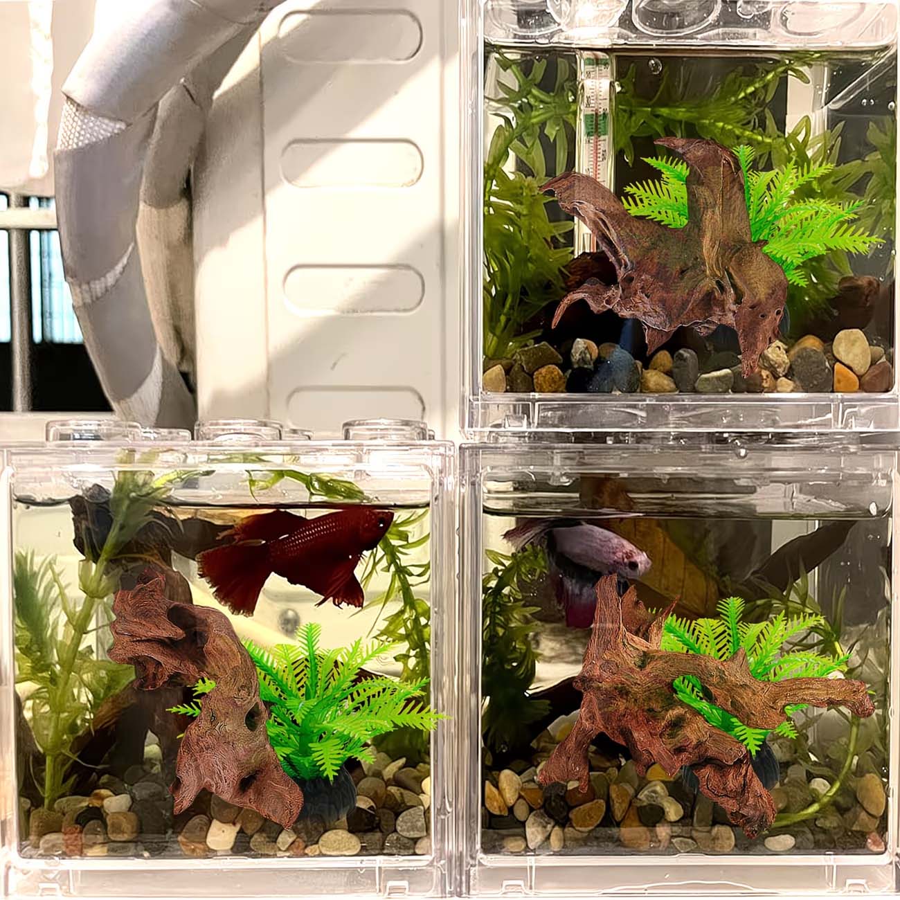 5-10CM Natural Sinkable Driftw - Aquarium Planted Wood recension och pris