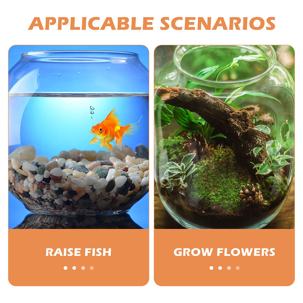 1Set High Transparency Round F - Planted Aquarium Bowl recension och pris
