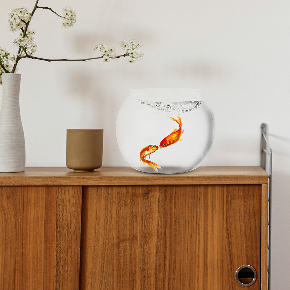 1Set High Transparency Round F - Planted Aquarium Bowl recension och pris