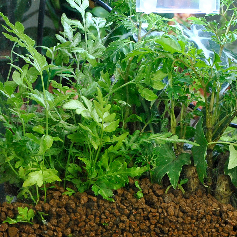 WAJABABY Akadama Soil - Natura - Aquasoil Substrate recension och pris