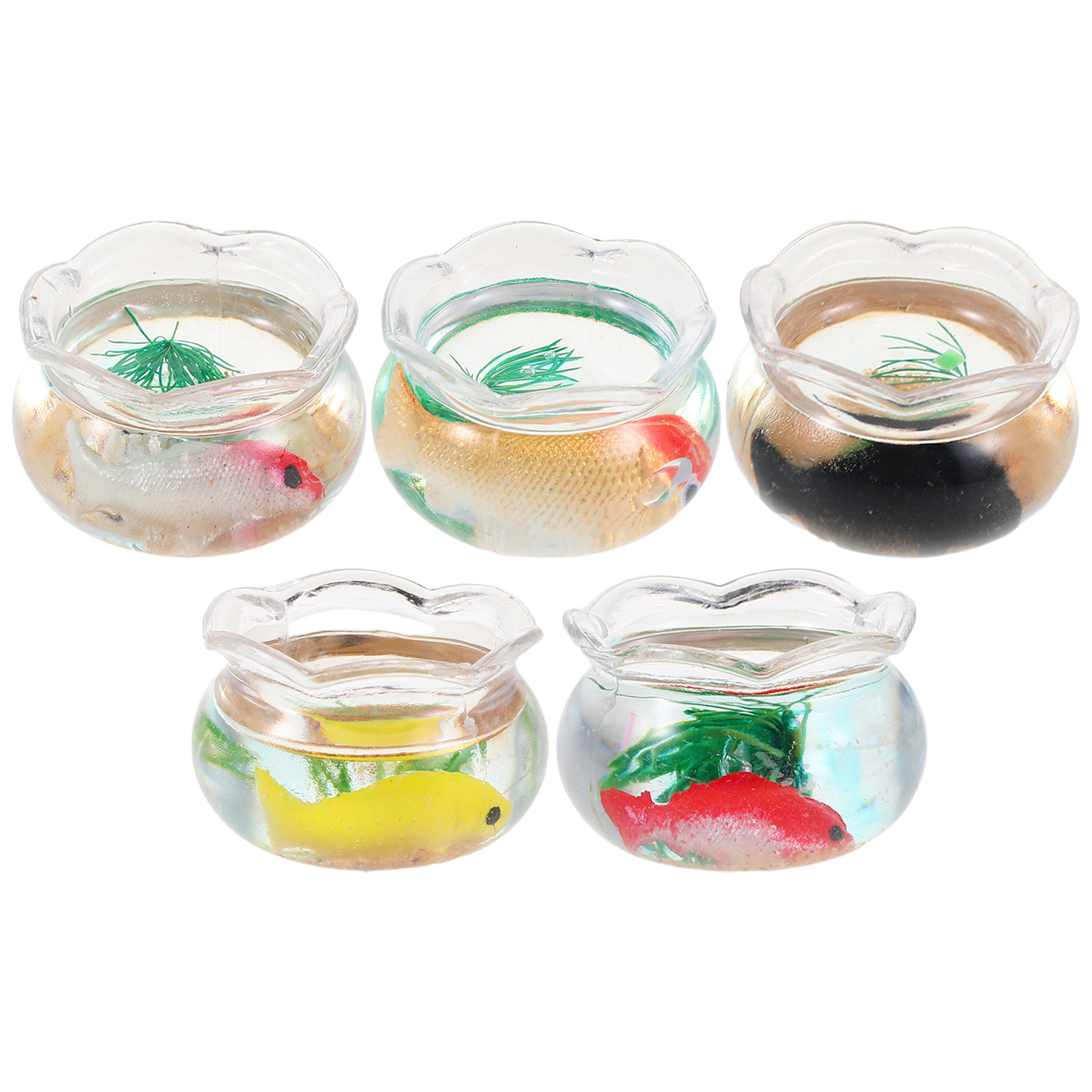 5Pcs Miniature Fish Bowl Small - Planted Aquarium With Fish recension och pris